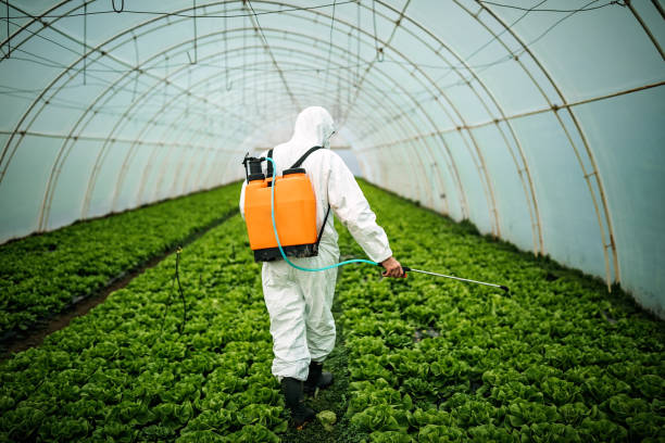 Best Ant Control Services  in Mvell, AR