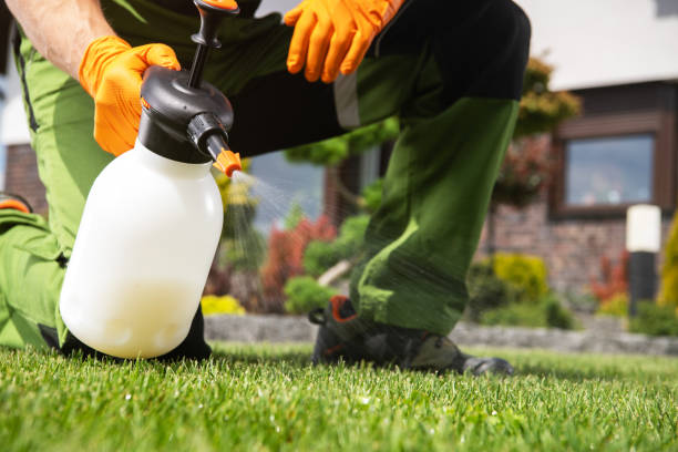 Best Local Pest Control Services  in Mvell, AR