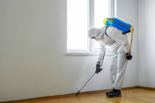Best Termite Control Services  in Mvell, AR