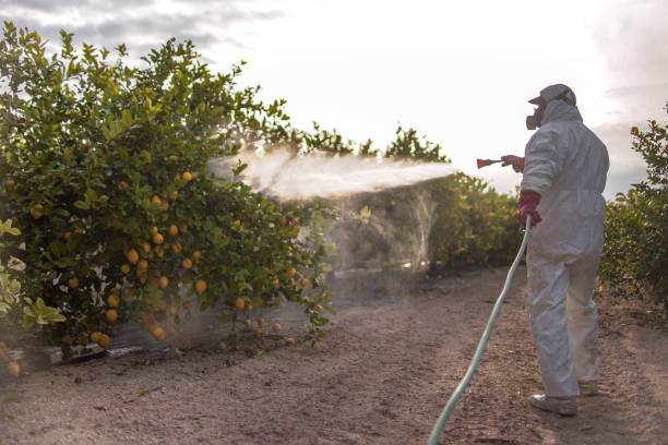 Best Pest Control Near Me  in Mvell, AR