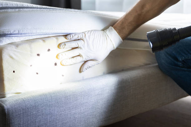 Best Commercial Pest Control Services  in Mvell, AR