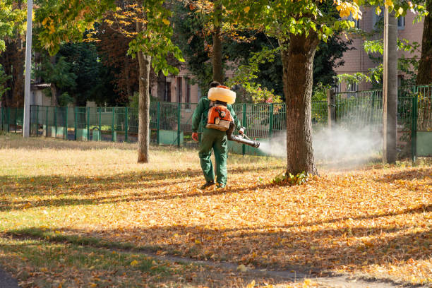 Best Best Pest Control Companies  in Mvell, AR