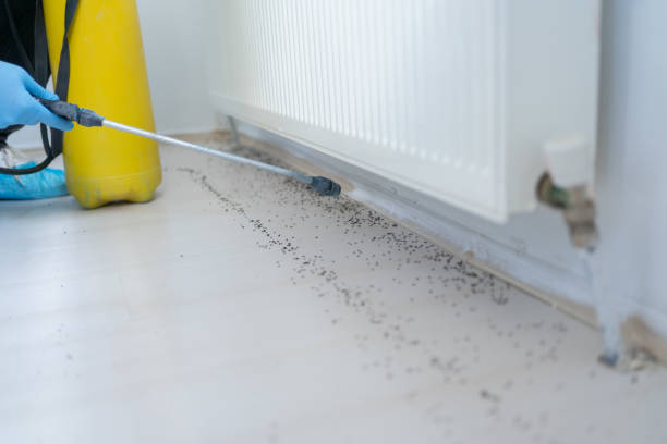 Best Mosquito Control Services  in Mvell, AR