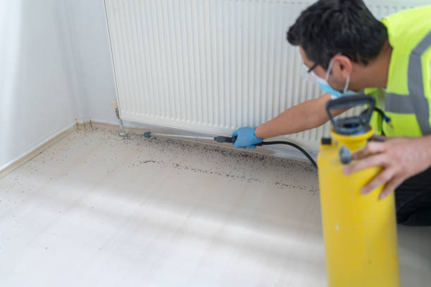 Best Cockroach Control Services  in Mvell, AR